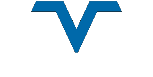Visual Magnetics logo v